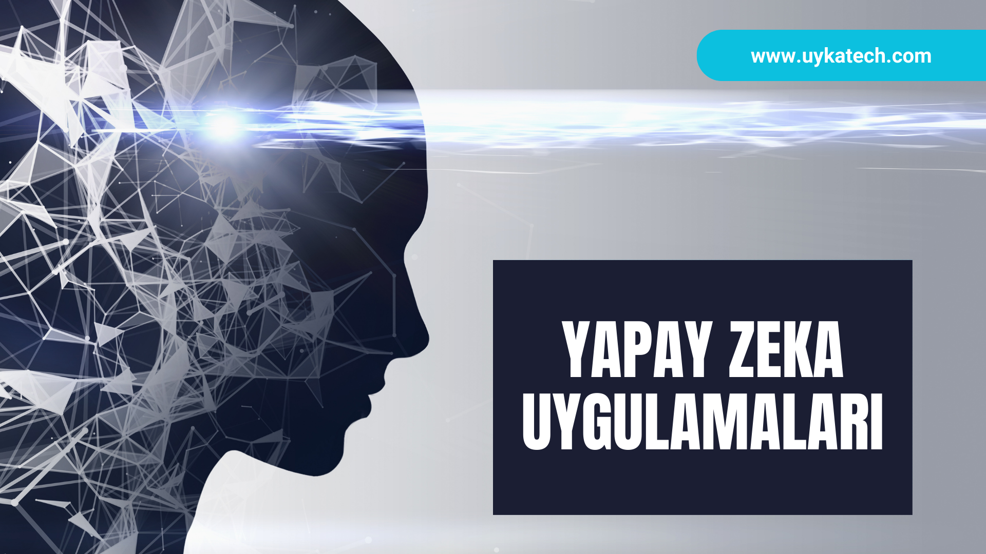 Yapay Zeka Uygulamalari